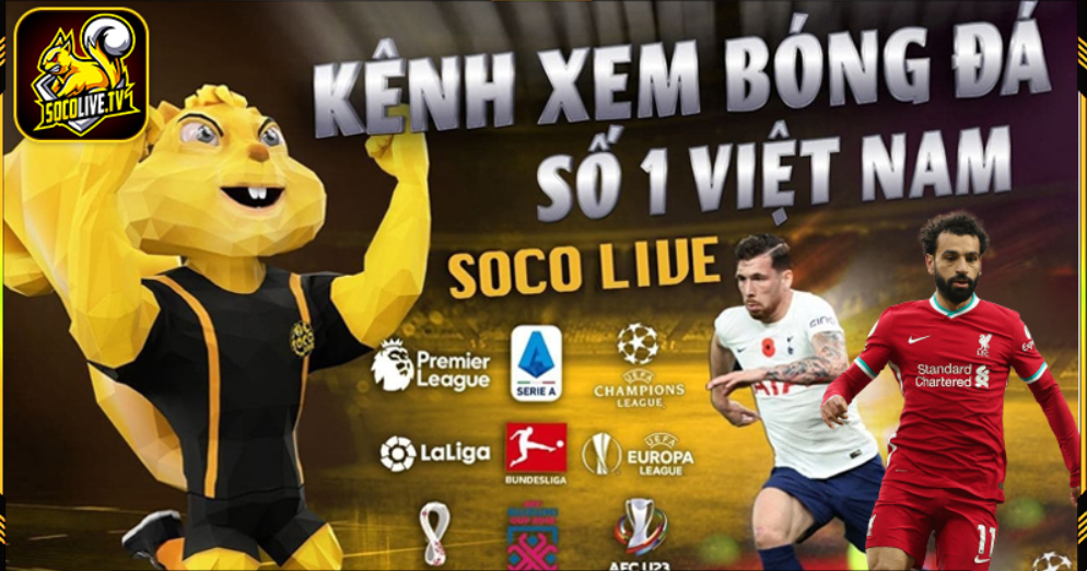 Winbet-cham-soc-khach-hang-chuyen-nghiep